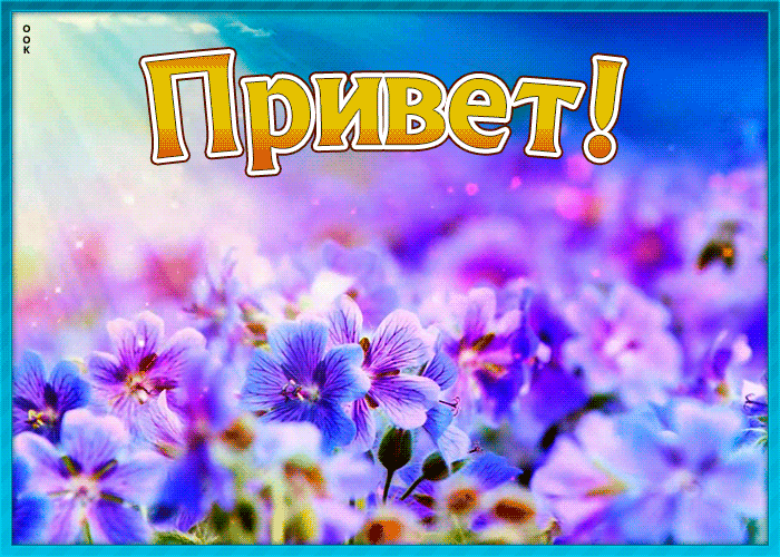 привет с родины картинка