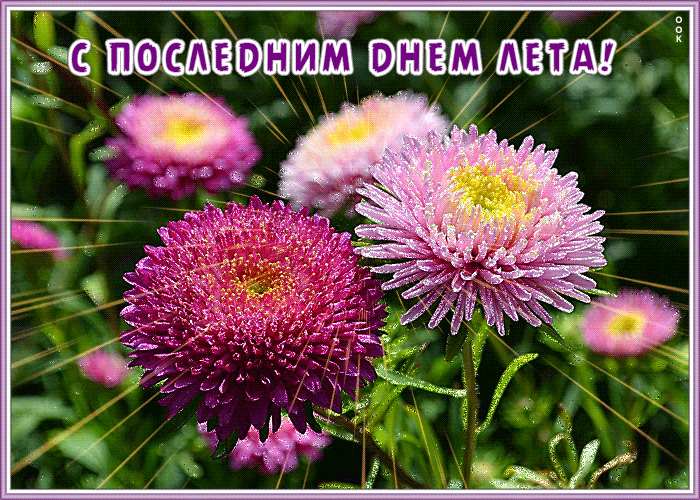Красивая открытка Последний день лета | Открытки Онлайн