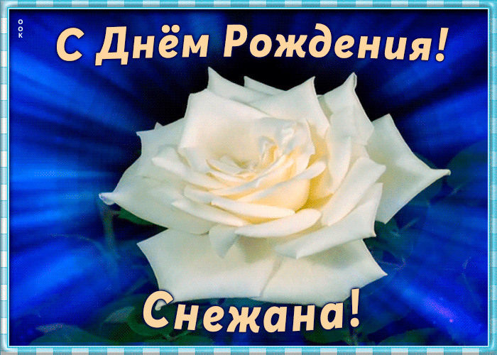 будут поздравление от имени снежана фотографируемый