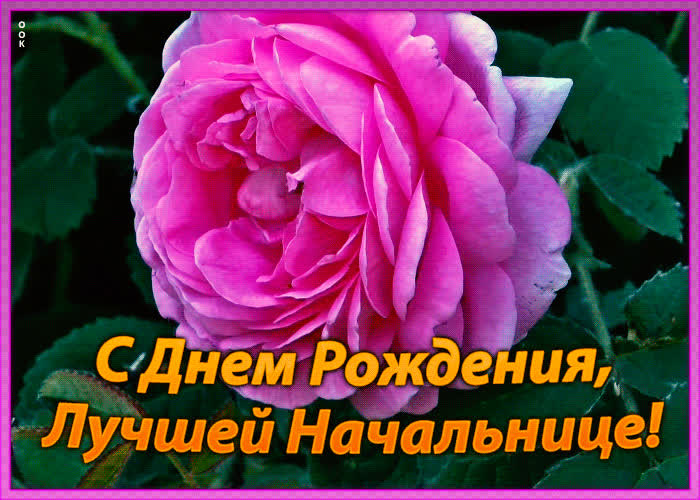 сожалению, поздравления с днем рождения для самой лучшей начальнице луганске