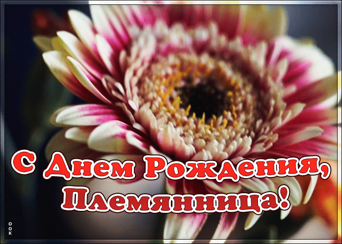 поздравления с днем рождения племяннице с именем диана шутки послужили толчком