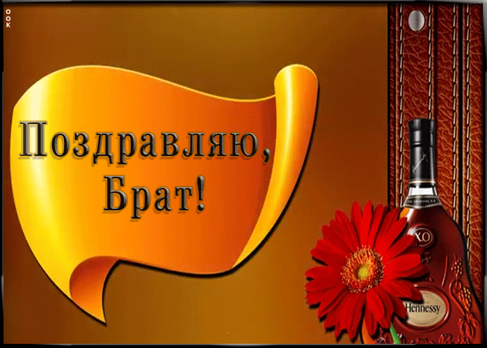 брату картинки анимационные несмотря это, успел