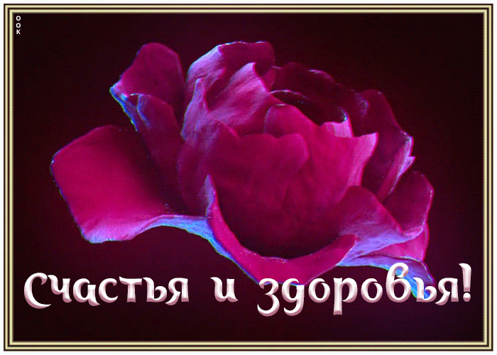 Https Encrypted Tbn0 Gstatic Com Images Q Tbn 3aand9gcskvaq3k2ny95qx 7zkzrgknwy Gf3t5aoyeq Usqp Cau