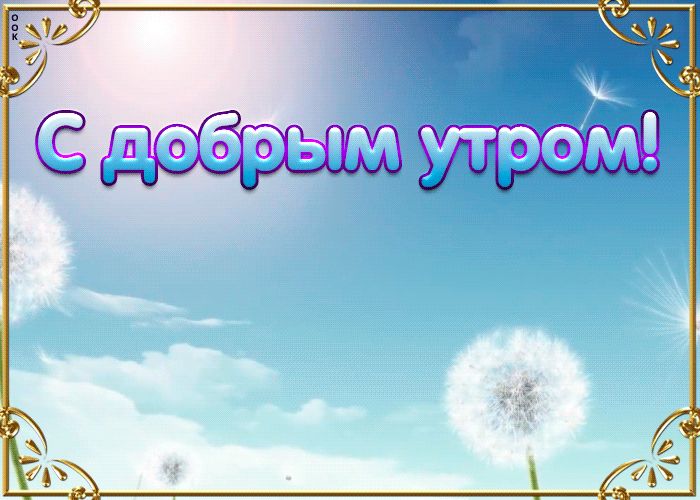 Доброго утра и хорошего настроения Суббота доброе утро картинки красивые пожелания